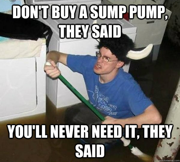 don't buy a sump pump, they said you'll never need it, they said  They said