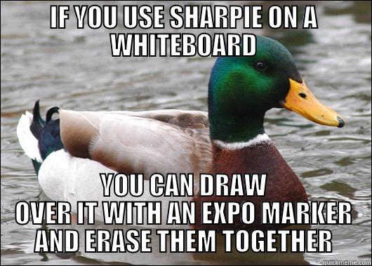 IF YOU USE SHARPIE ON A WHITEBOARD YOU CAN DRAW OVER IT WITH AN EXPO MARKER AND ERASE THEM TOGETHER Actual Advice Mallard