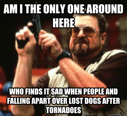 Am i the only one around here who finds it sad when people and falling apart over lost dogs after tornadoes  Am I The Only One Around Here
