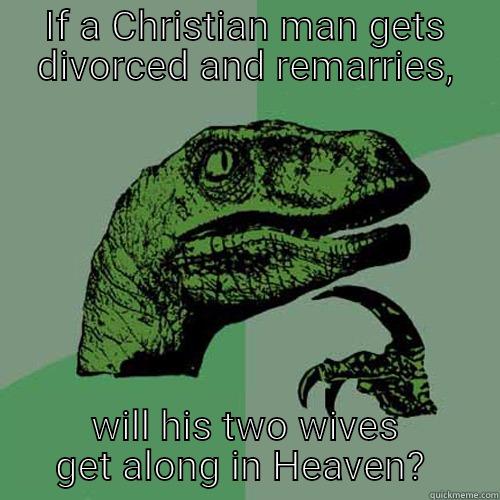 IF A CHRISTIAN MAN GETS DIVORCED AND REMARRIES, WILL HIS TWO WIVES GET ALONG IN HEAVEN?  Philosoraptor