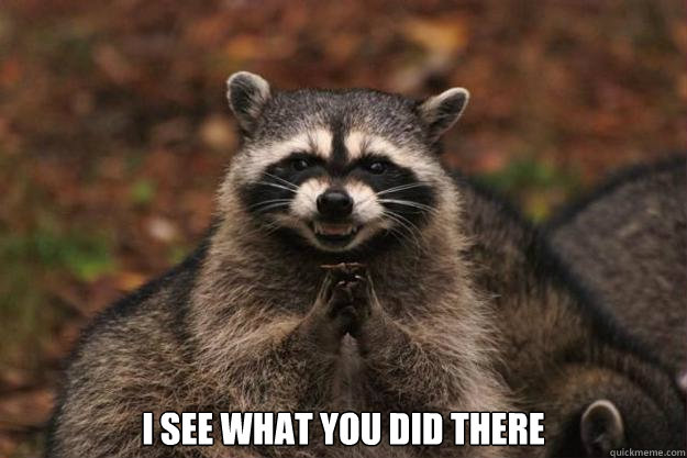 I see what you did there  Evil Plotting Raccoon