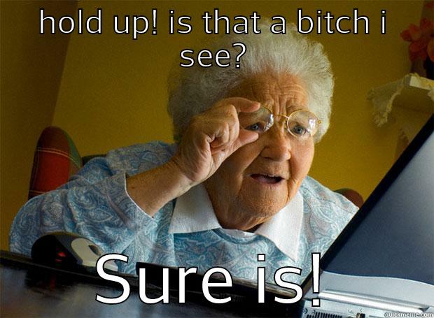 HOLD UP! IS THAT A BITCH I SEE? SURE IS! Grandma finds the Internet