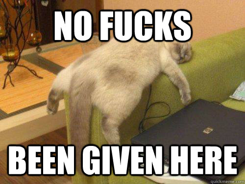 NO FUCKS BEEN GIVEN HERE  CAT FUCKS
