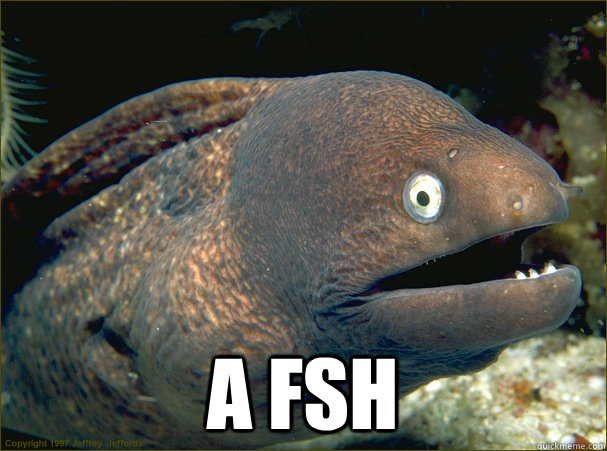  A FSH  Bad Joke Eel