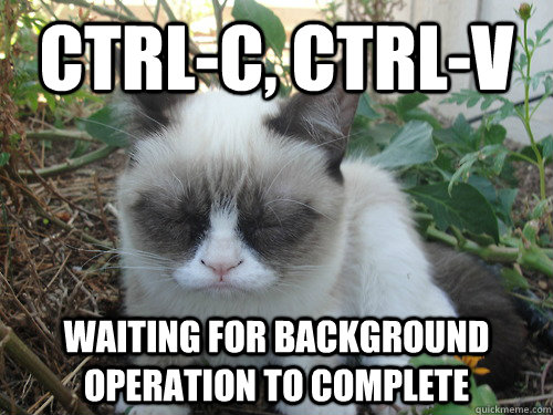 ctrl-c, ctrl-v Waiting for background operation to complete  