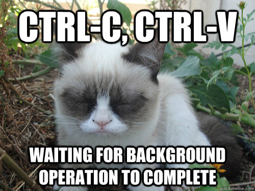 ctrl-c, ctrl-v Waiting for background operation to complete  Poor Grumpy Cat