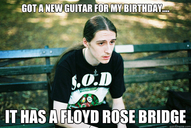 Got a new guitar for my birthday.... It has a floyd Rose Bridge  First World Metal Problems