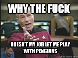 why the fuck doesn't my job let me play with penguins  Annoyed Picard