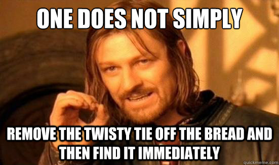 One Does Not Simply remove the twisty tie off the bread and then find it immediately  Boromir