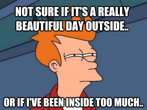 Not sure if it's a really beautiful day outside.. Or if I've been inside too much.. - Not sure if it's a really beautiful day outside.. Or if I've been inside too much..  Futurama Fry