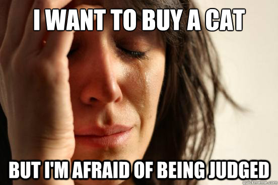 I want to buy a cat but I'm afraid of being judged  First World Problems