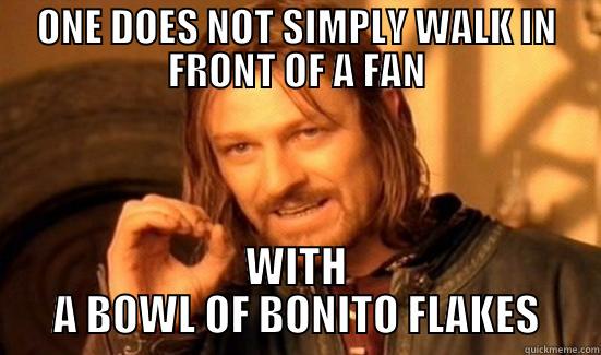 ONE DOES NOT SIMPLY WALK IN FRONT OF A FAN WITH A BOWL OF BONITO FLAKES Boromir