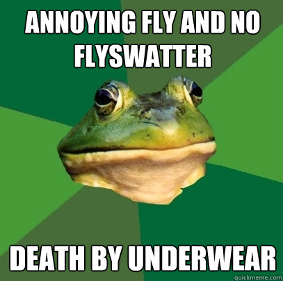 Annoying fly and no flyswatter  Death by underwear  Foul Bachelor Frog