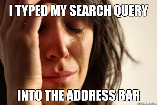 i typed my search query into the address bar - i typed my search query into the address bar  Misc
