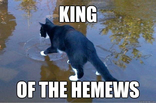 king of the hemews  Jesus Cat