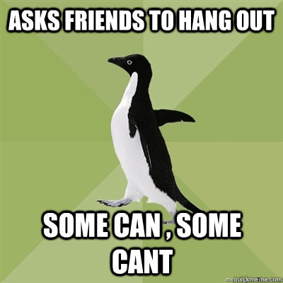 Asks friends to hang out some can , some cant  Socially Average Penguin