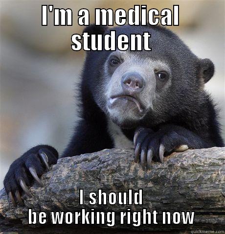 I'M A MEDICAL STUDENT I SHOULD BE WORKING RIGHT NOW Confession Bear
