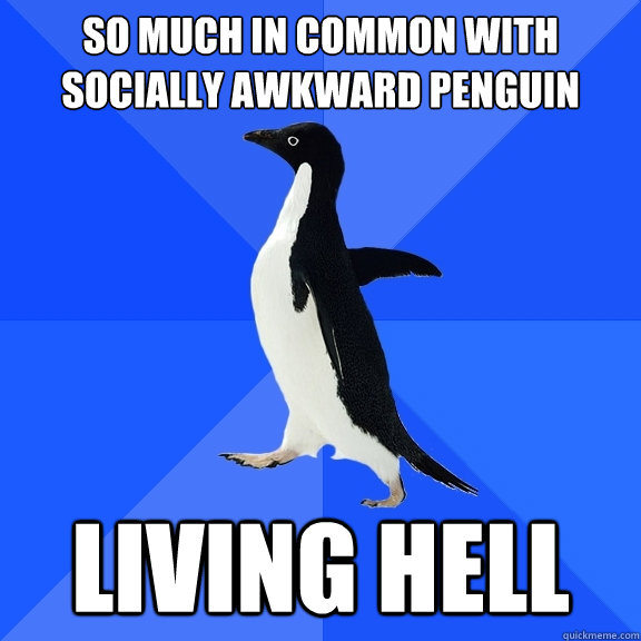 so much in common with socially awkward penguin living hell  Socially Awkward Penguin