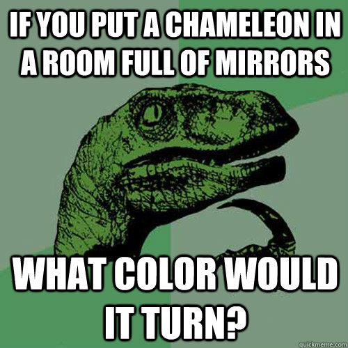 If you put a chameleon in a room full of mirrors what color would it turn? - If you put a chameleon in a room full of mirrors what color would it turn?  Misc