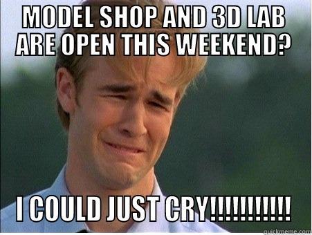 MODEL SHOP AND 3D LAB ARE OPEN THIS WEEKEND? I COULD JUST CRY!!!!!!!!!!! 1990s Problems