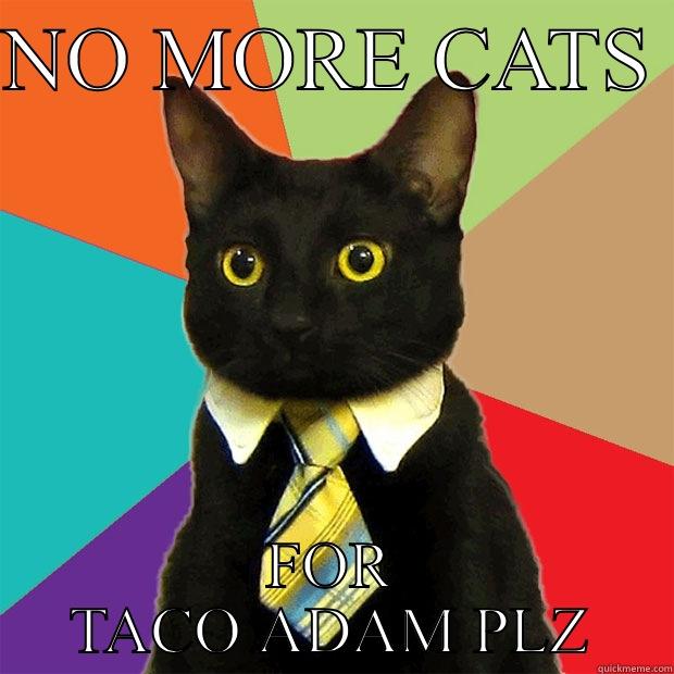 NO MORE CATS  FOR TACO ADAM PLZ Business Cat
