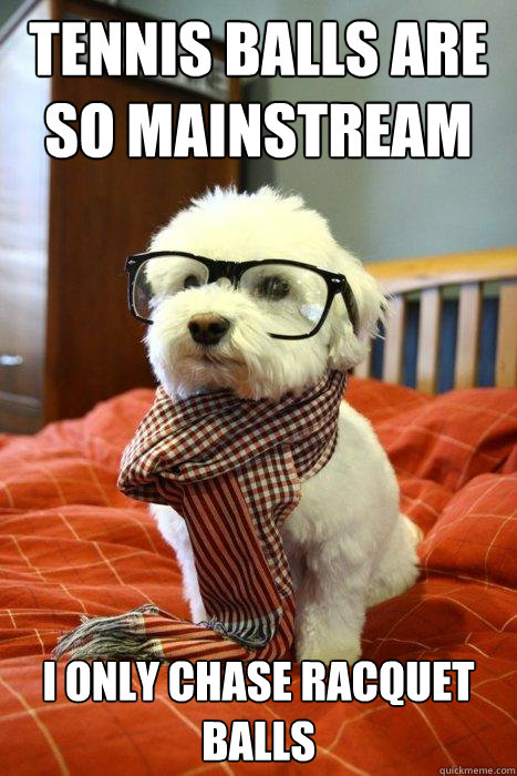 tennis balls are so mainstream i only chase racquet balls  Hipster Dog