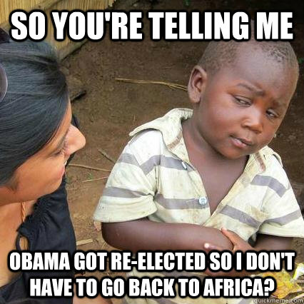 So You're Telling me Obama got re-elected so I don't have to go back to Africa?  
