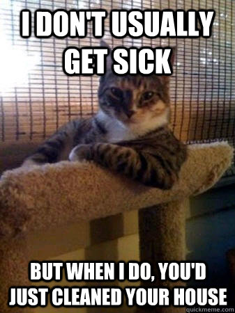 I don't usually get sick but when I do, you'd just cleaned your house  The Most Interesting Cat in the World