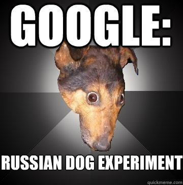   google: russian dog experiment -   google: russian dog experiment  Depression Dog