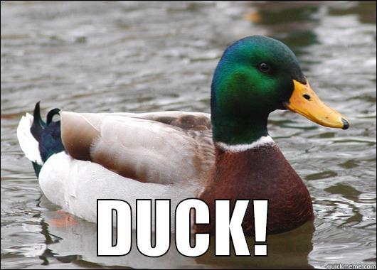  DUCK! Actual Advice Mallard