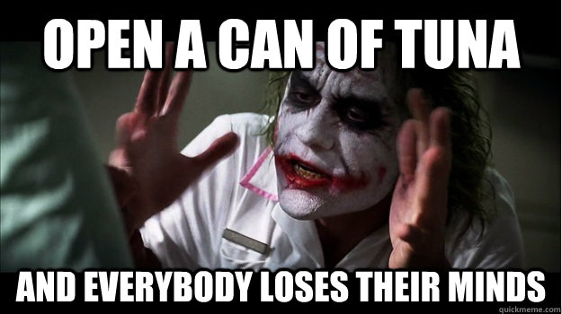 Open a can of tuna AND EVERYBODY LOSES THEIR MINDS  Joker Mind Loss