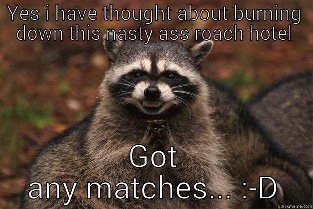 bahaha  - YES I HAVE THOUGHT ABOUT BURNING DOWN THIS NASTY ASS ROACH HOTEL GOT ANY MATCHES... :-D Evil Plotting Raccoon