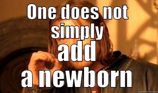 ONE DOES NOT SIMPLY ADD A NEWBORN Boromir