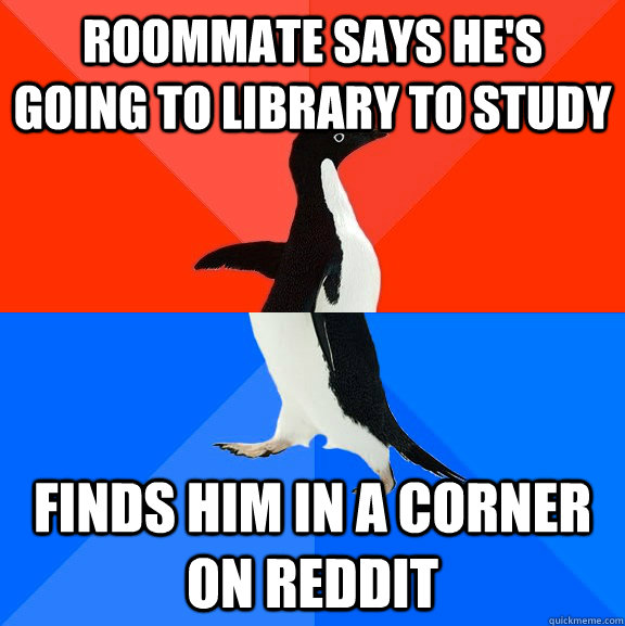 Roommate says he's going to library to study Finds him in a corner on Reddit  Socially Awesome Awkward Penguin