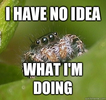 I have no idea What I'm doing  Misunderstood Spider