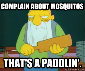 Complain about mosquitos That's a paddlin'.  Paddlin Jasper