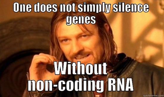 ONE DOES NOT SIMPLY SILENCE GENES WITHOUT NON-CODING RNA Boromir
