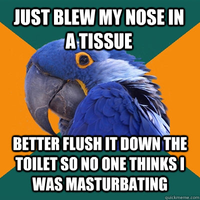 Just blew my nose in a tissue better flush it down the toilet so no one thinks i was masturbating  Paranoid Parrot