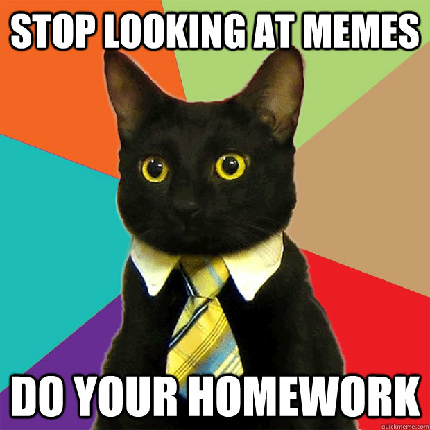 Stop LOoking at memes do your homework  Business Cat