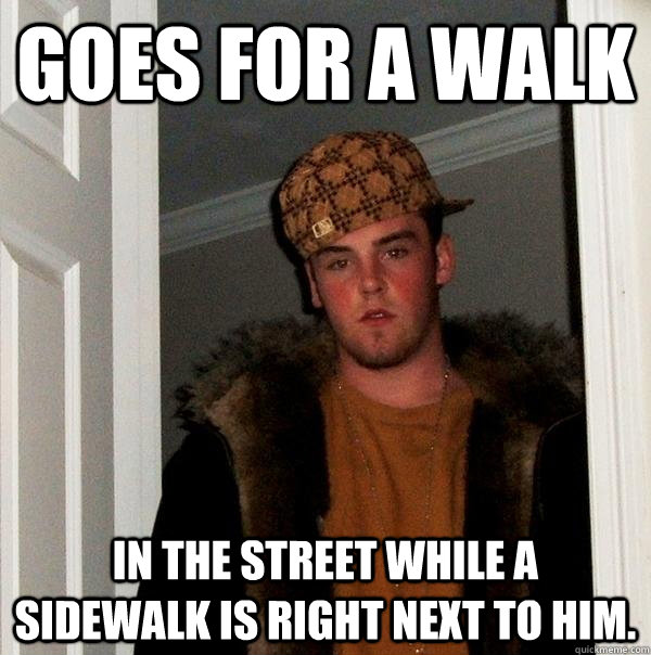 Goes for a walk in the street while a sidewalk is right next to him.  Scumbag Steve
