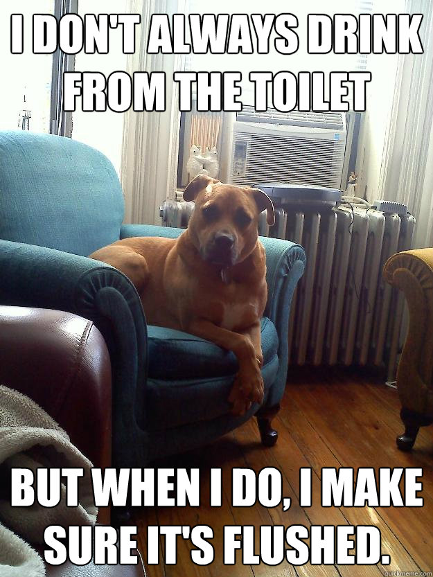 I don't always drink from the toilet But when I do, I make sure it's flushed.  