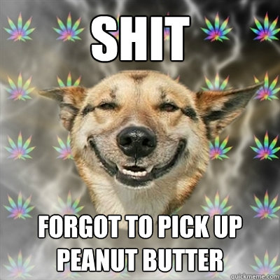 shit forgot to pick up peanut butter  Stoner Dog