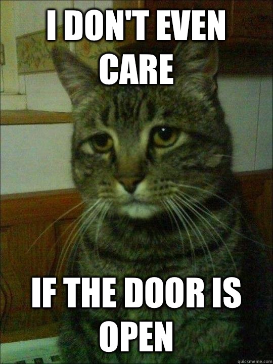 I don't even care If the door is open - I don't even care If the door is open  Depressed cat