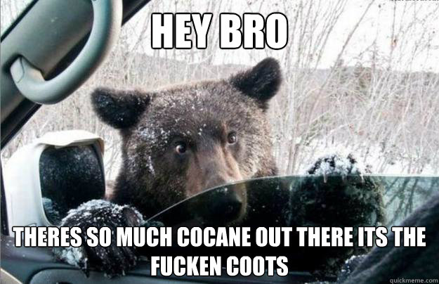 hey bro theres so much cocane out there its the fucken coots   cocaine bear