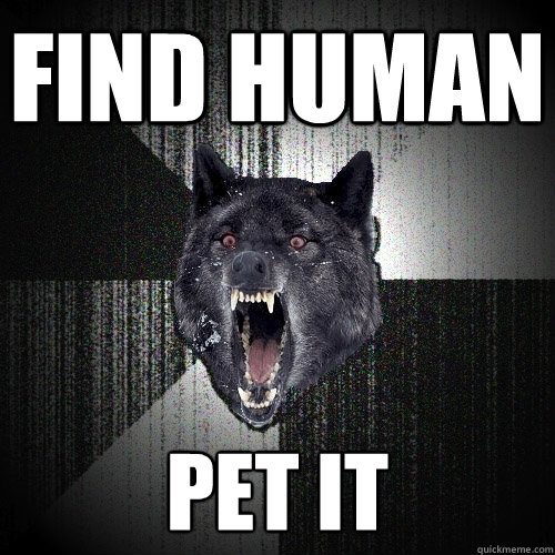 Find human Pet it - Find human Pet it  Insanity Wolf