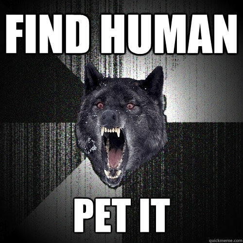Find human Pet it  Insanity Wolf