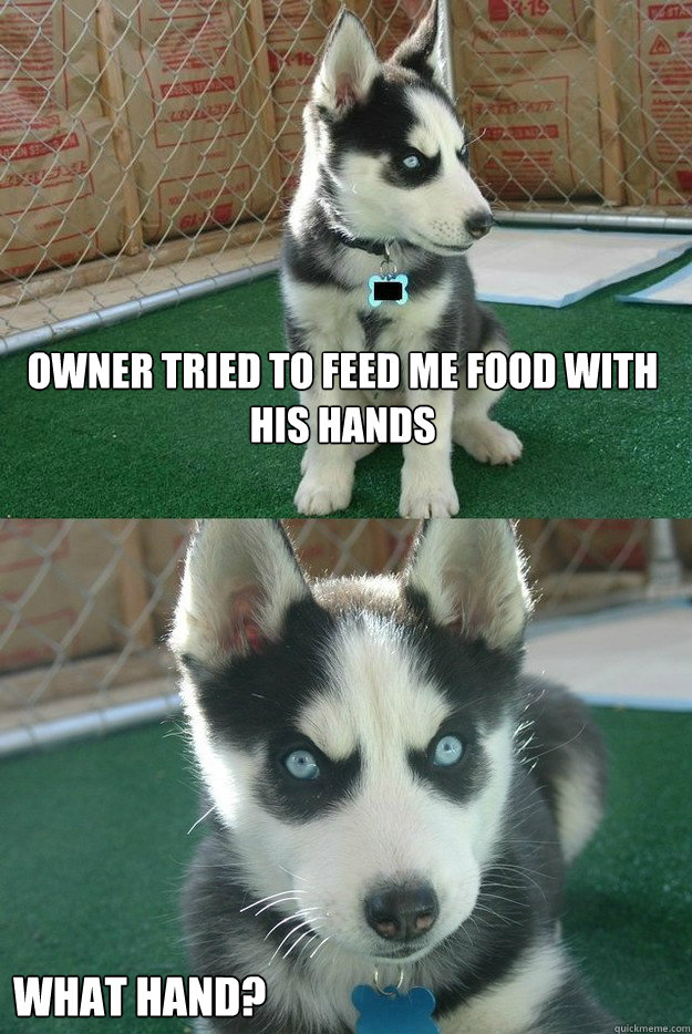 owner tried to feed me food with his hands what hand?  Insanity puppy