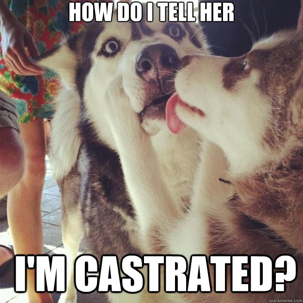 how do I tell her  I'm castrated? - how do I tell her  I'm castrated?  Relationship Dog