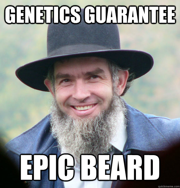 genetics guarantee epic beard  Good Guy Amish