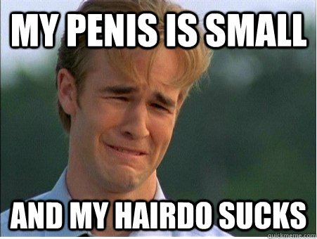 my penis is small and my hairdo sucks  1990s Problems